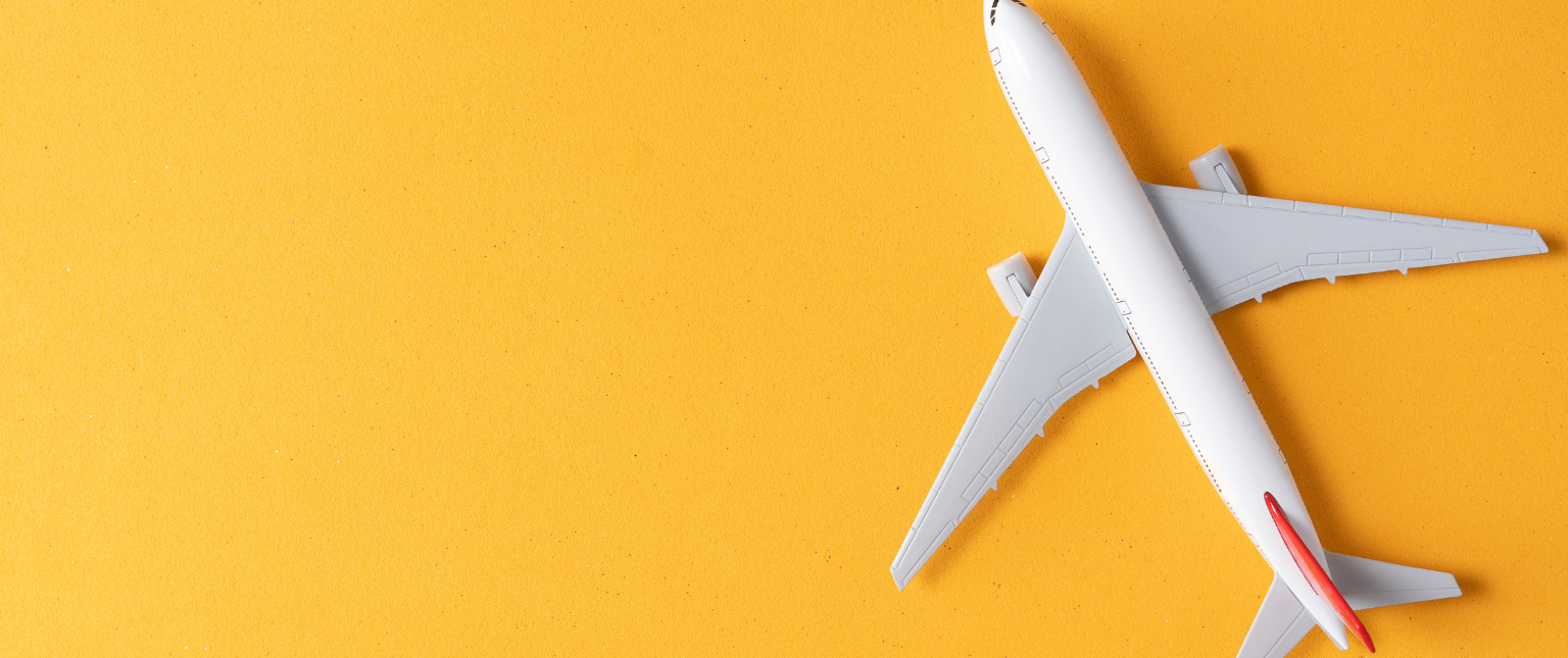 Travel Money Web Banner